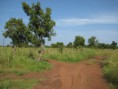 /album/fotogalerij-ghana-life/img-8197-jpg/