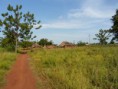 /album/fotogalerij-ghana-life/sam-0583-jpg/